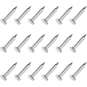 METALLIXITY Small Nails (1.2x6mm) 1000pcs, Carbon Steel Tiny Hardware Nails - for Household Woodworking, Silver Tone