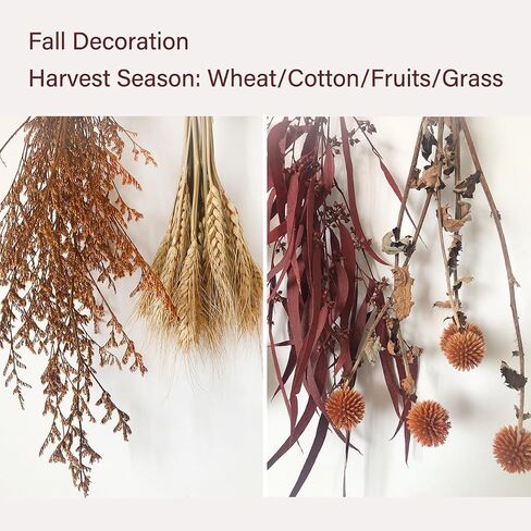 Natural Dried Flower Wall Hanging Decor, Dried Wheat for Harvest Fall Decoration, Orange Dried Echinops Thistle Flower Bouquet for Boho Farmhouse Decor, Cotton in Saudi Arabia