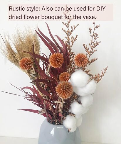Natural Dried Flower Wall Hanging Decor, Dried Wheat for Harvest Fall Decoration, Orange Dried Echinops Thistle Flower Bouquet for Boho Farmhouse Decor, Cotton in Saudi Arabia