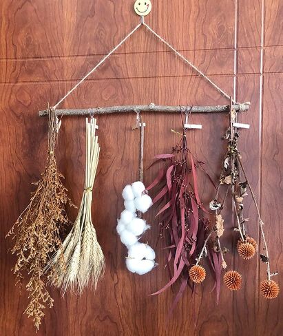 Natural Dried Flower Wall Hanging Decor, Dried Wheat for Harvest Fall Decoration, Orange Dried Echinops Thistle Flower Bouquet for Boho Farmhouse Decor, Cotton in Saudi Arabia