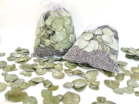 الأوكالبتوس + الخزامى الأوكالبتوس المجفف - عبوة من قطعتين من أكياس حمام الدش اللافندر من أوراق الأوكالبتوس للاستحمام المحفوظة الطبيعية الحقيقية وأوراق الأوكالبتوس الخزامى in Kuwait