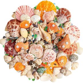 Mixed Sea Shells, 120 Pieces Beach Seashells, Various Sizes Natural Seashells Starfish with Decorative Accessories for Beach Theme Party DIY Crafts Vase Fillers Home Decorations