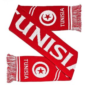 Euroscarves Tunisia Soccer Knit Scarf