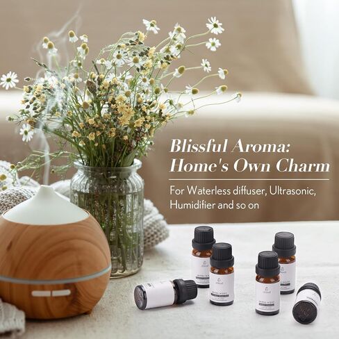 JCLOUD Summer Fragrance Oils Set | Hotel Collection Diffuser Oil & Home Luxury Scents - Gift Set of 6 Summer Essential Oil for Diffusers for Home, Fresh Citrus, Tropical Fruity & Clean Aquatic, 6x10mL in Saudi Arabia