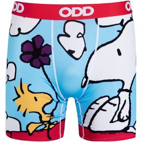 Odd Sox Charlie Brown Peanuts Comic Strip, Funny Boxer Briefs for Men, Cool, Comfortable