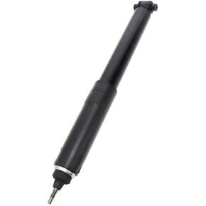 Motorcraft - Shock Absorber Asy (P) (ASH24539)