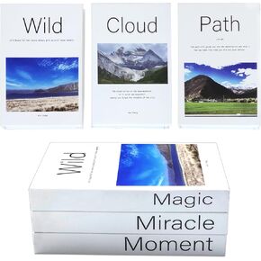 Decorative Books for Home Decor Fake Books for Decoration, Bookshelves Decor, Hardcover Storage Box Design, for Coffee Table, Living Room, Farmhouse, Aesthetic Set of 3