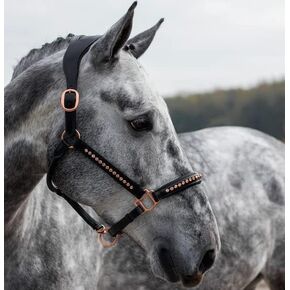 MEWATI Anatomic Rose Gold Horse Leather Halter, Black Head Collar Horse, 1" Show Halter Rose Gold, Gold Rose Fittings Gold Rose Colour Custom Halter | Personalised Halter