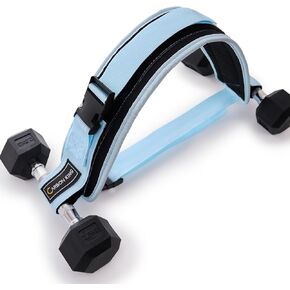 Hip Thrust Belt for Dumbbells Heavy，Booty Belt for Hip Thrust，Dumbbell Belt for Hip Thrust