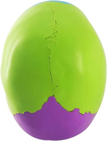 نموذج جمجمة بشرية مفككة، نموذج جمجمة بشرية نسخة تعليمية للبالغين، 22 جزءًا من جمجمة بالحجم الطبيعي نموذج جمجمة بوشين لتعلم التدريس الطبي، عرض تعليم تعلم الطلاب in Kuwait