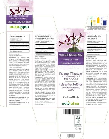 Naturalma جنوب أفريقيا pelargonium أو Umckaloaba (Pelargonium sidoides) جذر صبغة خالية من الكحول - 4 أونصة سائلة مستخلص سائل في قطرات - مكمل عشبي - نباتي in Kuwait