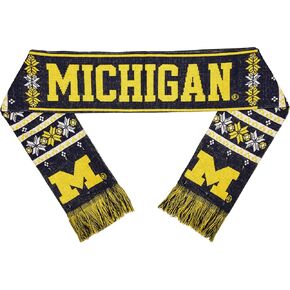 FOCO NCAA unisex Light Up Scarf