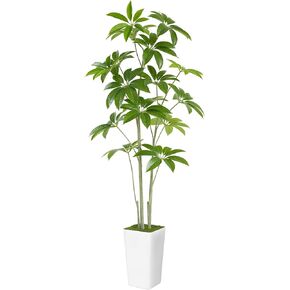 Aritificial Umbrella Schefflera Tree - 6Ft Tall Fake Plant with Realistic Leaves Faux Silk Indoor and Outdoor Decor for Home Living Room Bedroom Office Patio