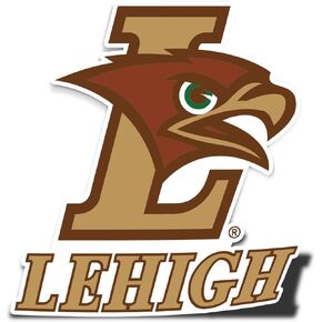 Desert Cactus Lehigh University Mountain Hawks Vinyl Decal Laptop Water Bottle Car Scrapbook Sticker (IND 00064a)