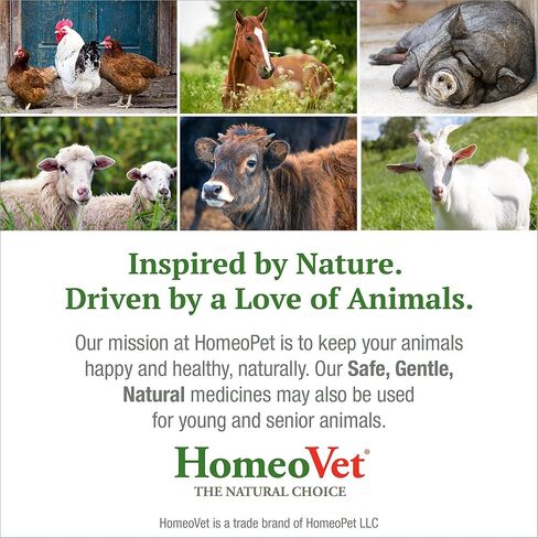 HomeoVet EquioPathics Cough and Allergy, Natural Allergy Medication for Large Animals, 120 Milliliters in Kuwait