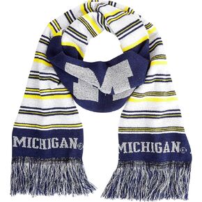 FOCO NCAA unisex-adult Glitter Stripe Scarf