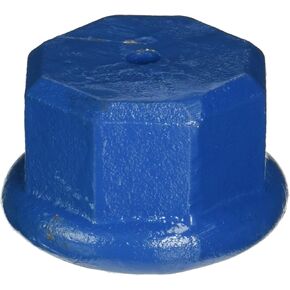 Simmons 1695 Malleable Point Well Drive Cap, 1-1/4 in
