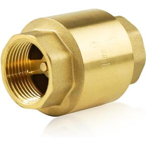Vertical Spring Check Valve, 1" Thread Brass Check Valve, Easy to Install, One Way Backflow Control Check Valves for Plumbing Water Boiler Heating System (DN25)