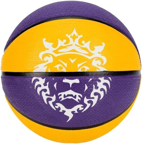 NIKE Unisex's Modern basketballs in Saudi Arabia