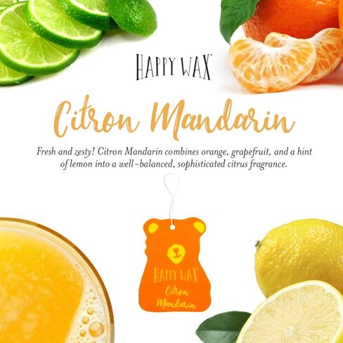 Happy Wax Beach Mix Hanging Car Cub Air Fresheners Infused with Natural Essential Oils, 4 Ct. Variety Pack - Contains Coastal Tide, Grape Mango, Summer Evenings, and Bronzed Coconut in Kuwait