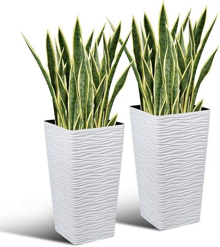 20 قطعة من نباتات الثعبان الخضراء مقاس 25.6 بوصة من Worth Garden ومزارع أبيض طويل القامة بطول 22 بوصة، حاويات شجرة سعة 7 جالون، مزيج مجاني من النباتات والأواني المزيفة، نبات الصبار الصناعي، ديكور المنزل in Kuwait