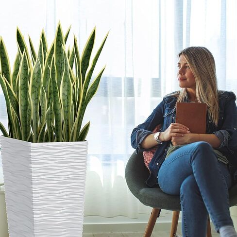 20 قطعة من نباتات الثعبان الخضراء مقاس 25.6 بوصة من Worth Garden ومزارع أبيض طويل القامة بطول 22 بوصة، حاويات شجرة سعة 7 جالون، مزيج مجاني من النباتات والأواني المزيفة، نبات الصبار الصناعي، ديكور المنزل in Kuwait