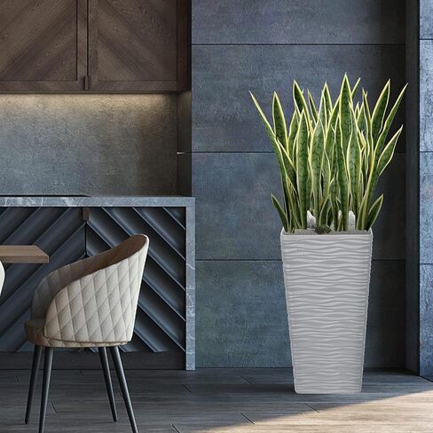 20 قطعة من نباتات الثعبان الخضراء مقاس 25.6 بوصة من Worth Garden ومزارع أبيض طويل القامة بطول 22 بوصة، حاويات شجرة سعة 7 جالون، مزيج مجاني من النباتات والأواني المزيفة، نبات الصبار الصناعي، ديكور المنزل in Kuwait