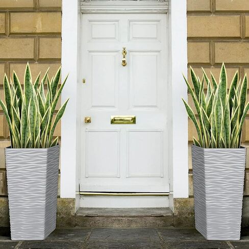 20 قطعة من نباتات الثعبان الخضراء مقاس 25.6 بوصة من Worth Garden ومزارع أبيض طويل القامة بطول 22 بوصة، حاويات شجرة سعة 7 جالون، مزيج مجاني من النباتات والأواني المزيفة، نبات الصبار الصناعي، ديكور المنزل in Kuwait