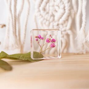Pressed Flower Paperweight, Real Flowers and Plant Specimens Resin Paper Weights Crafts for Desktop Decoration Science Education and Gift Giving (Dandelion)