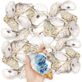 36PCS Oyster Shells 5"-6" Large Oyster Shells Bulk Oyster Shells for Home Decor Vase Filler, Ornaments, DIY Arts and Crafts Sea Shells, Deeper Shells