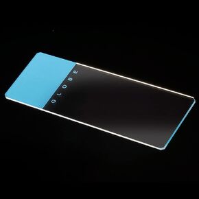Globe Scientific 1324B-144 Microscope Slides, 90 Degree Ground Edges with Safety Corners, Blue Frosted, Glass, 25 mm x 75 mm Size, Pack of 144
