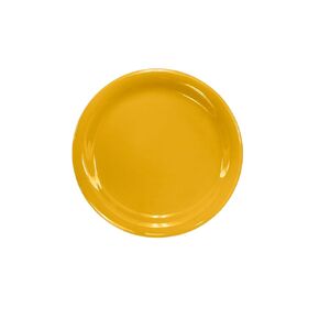 FSE CR109YW Plate, 9" dia., round, narrow rim, Pack of 12