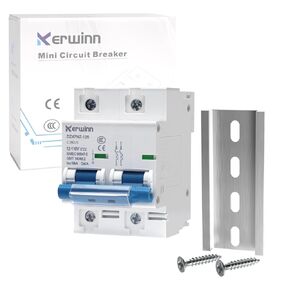 DC Miniature Circuit Breaker 12V-110V Circuit Breaker 2Pole 100Amp Smart Circuit Breaker DIN Rail Mount for Solar photovoltaic Systems