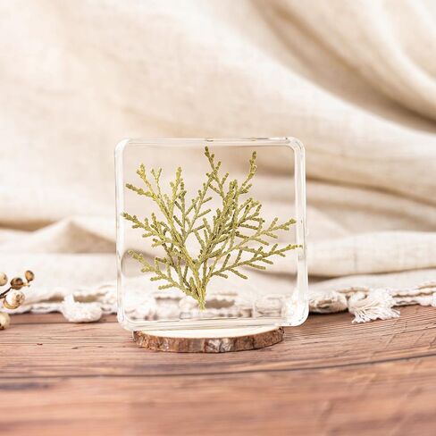 Pressed Flower Paperweight, Real Flowers and Plant Specimens Resin Paper Weights Crafts for Desktop Decoration Science Education and Gift Giving (Dandelion) in Saudi Arabia