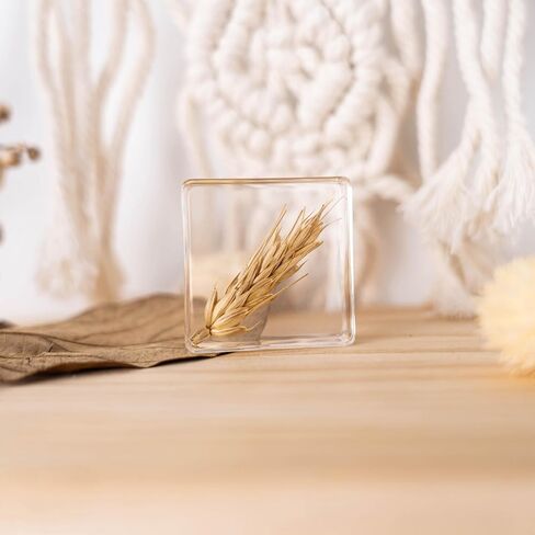 Pressed Flower Paperweight, Real Flowers and Plant Specimens Resin Paper Weights Crafts for Desktop Decoration Science Education and Gift Giving (Dandelion) in Saudi Arabia