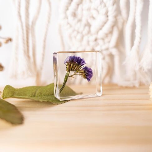 Pressed Flower Paperweight, Real Flowers and Plant Specimens Resin Paper Weights Crafts for Desktop Decoration Science Education and Gift Giving (Dandelion) in Saudi Arabia