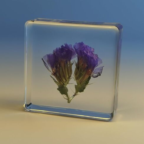 Pressed Flower Paperweight, Real Flowers and Plant Specimens Resin Paper Weights Crafts for Desktop Decoration Science Education and Gift Giving (Dandelion) in Saudi Arabia