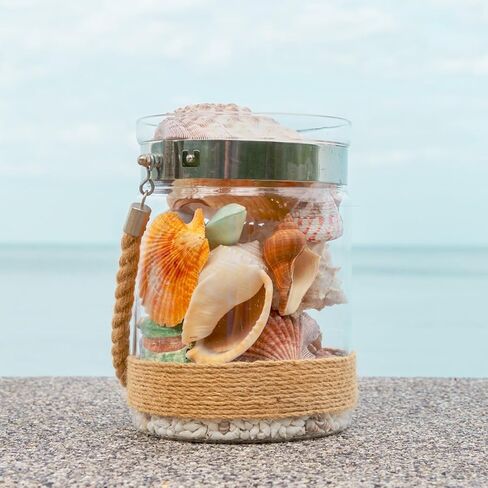 Large Sea Shells 20PCS for Beach Decor: Mixed Seashells, Starfish, Conch Shell, and Cowrie Shells for Ocean Decor, DIY Crafts, Home Decor, Table Scatters, and Fish Tank Decorations in Saudi Arabia
