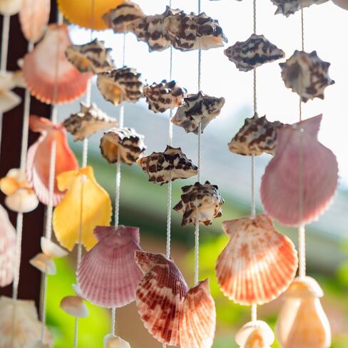 Large Sea Shells 20PCS for Beach Decor: Mixed Seashells, Starfish, Conch Shell, and Cowrie Shells for Ocean Decor, DIY Crafts, Home Decor, Table Scatters, and Fish Tank Decorations in Saudi Arabia