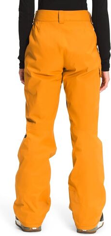 بنطال THE NORTH FACE Freedom المعزول أصفر سيترين 2XL S in Saudi Arabia