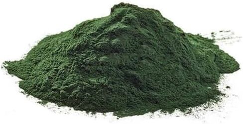 Aura Green Spirulina Powder, 3.5oz, Organic Spirulina Powder, Vegan Protein, Green Superfood Boost for Smoothies, Immune Support Gluten Free, Non GMO, purify Body, Spirulina Powder Organic in Saudi Arabia