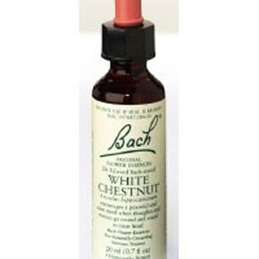 Bach Flower White Chestnut