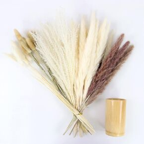 Pampas Grass Decor with Vase | 17.5'' Short Stem Natural Dried Pampas Grass Bundle | Minimalist Decor | Natural & White Pampas Grass Plants [Vase Included] (Mixed)