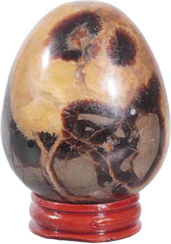moonsix Natural Septarian Dragon Stone Sculpture Egg Shape Stone with Wooden Stand Crystal Figurine for Feng Shui Witch Decor, 2.36-2.95 inches in Kuwait