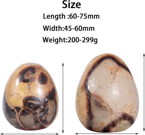 moonsix Natural Septarian Dragon Stone Sculpture Egg Shape Stone with Wooden Stand Crystal Figurine for Feng Shui Witch Decor, 2.36-2.95 inches in Kuwait