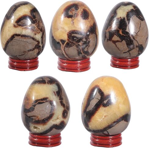 moonsix Natural Septarian Dragon Stone Sculpture Egg Shape Stone with Wooden Stand Crystal Figurine for Feng Shui Witch Decor, 2.36-2.95 inches in Kuwait