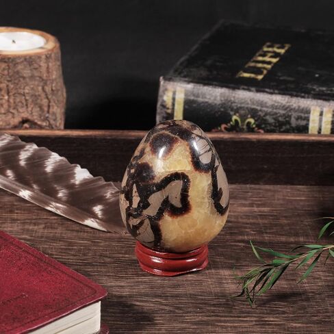 moonsix Natural Septarian Dragon Stone Sculpture Egg Shape Stone with Wooden Stand Crystal Figurine for Feng Shui Witch Decor, 2.36-2.95 inches in Kuwait