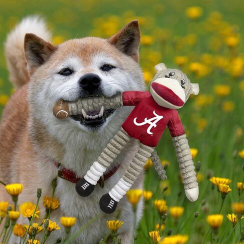 مجموعة ألعاب الحيوانات الأليفة من Littlearth للبالغين من الجنسين من الرابطة الوطنية لرياضة الجامعات بالولايات المتحدة Iowa Hawkeyes Sock Monkey and Flying Disc، لون الفريق، مقاس واحد in Kuwait