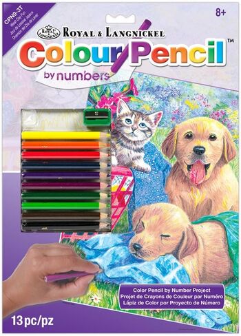 Royal and Langnickel Colour by Number Pencil, Tropical Fish in Saudi Arabia