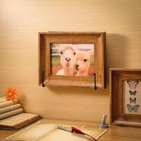 Jetec 2 Pcs Wall Mount Metal Plate Display Stands 6 Inch Metal Wall Easel Plate Photo Stands Holders Decorative Versatile Plate Hangers Picture Frame Stand Wall Display with Screws for Home Wall in Saudi Arabia